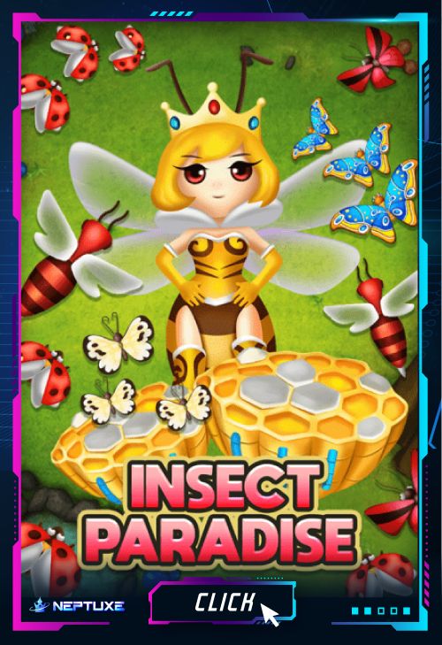 wt-bbin-live cover image png